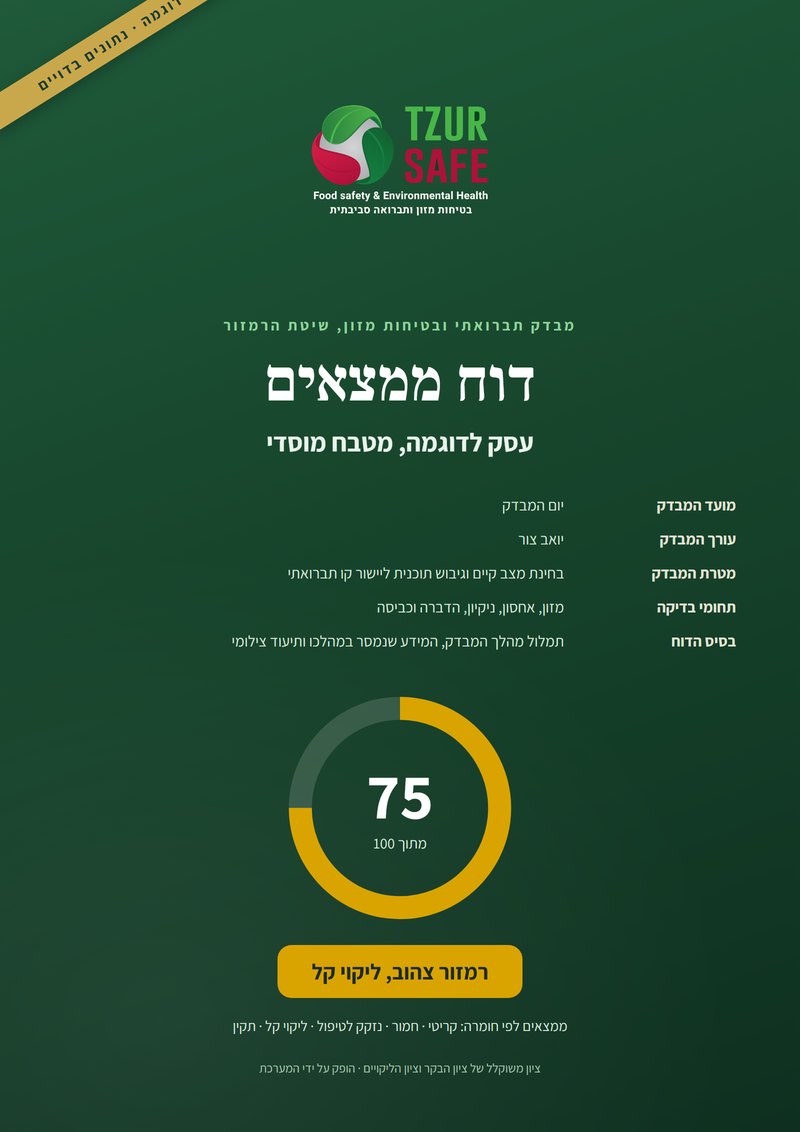כריכת דוח ממצאים בשיטת הרמזור, עם ציון משוקלל בטבעת. נתונים בדויים לדוגמה